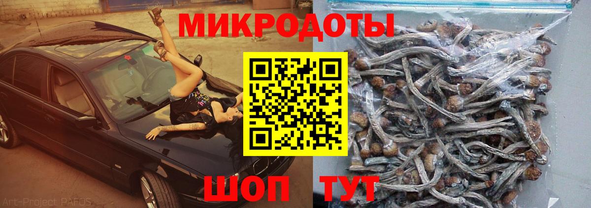 Галлюциногенные грибы прущие грибы  Вход с VPN  Королёв 